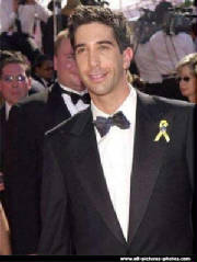 david-schwimmer-021-img.jpg